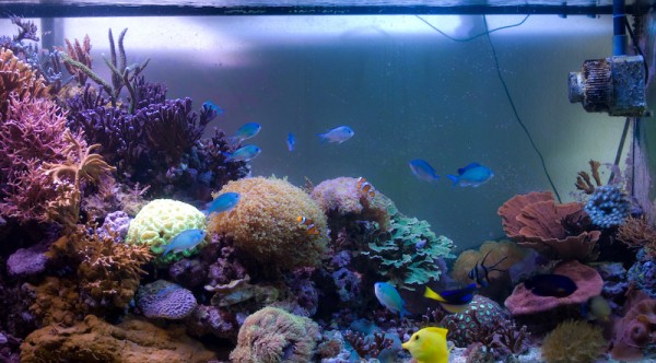 aqua290120010.jpg