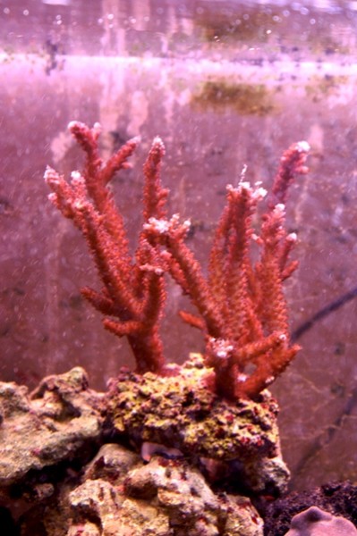PICT0210.JPG