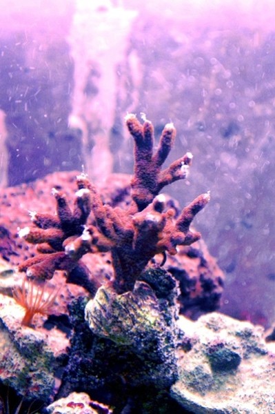 PICT0211.JPG