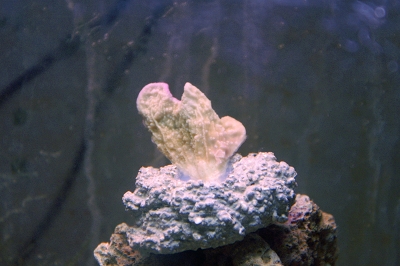 PICT0213.JPG