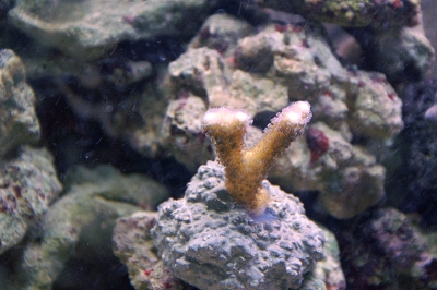 PICT0214.JPG