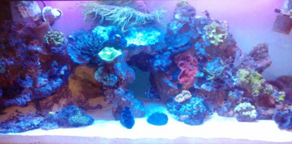 22022010878.jpg