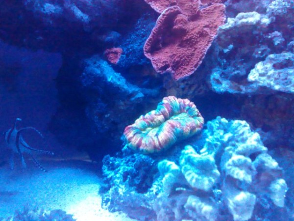22022010879.jpg