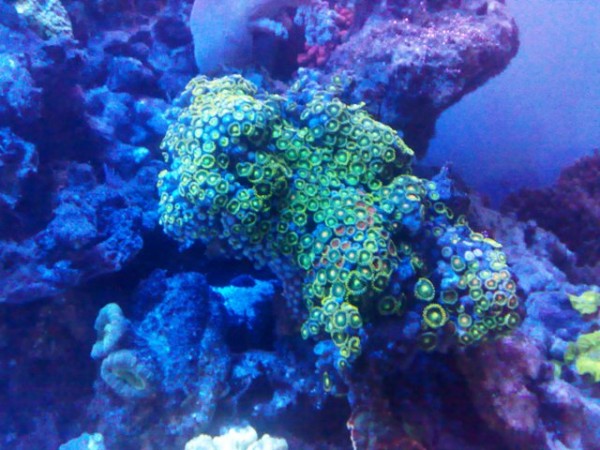 22022010880.jpg