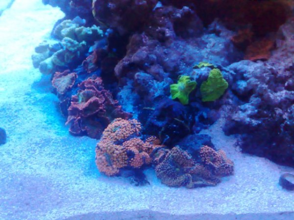 22022010881.jpg