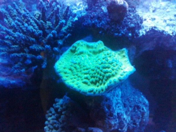 22022010882.jpg