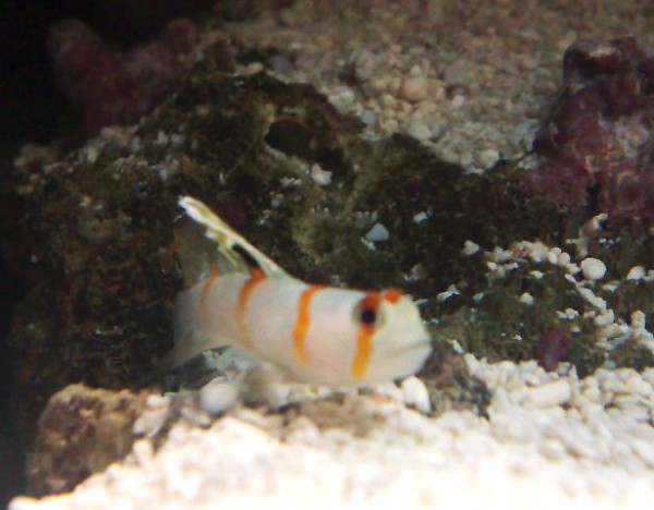 23022010897.jpg