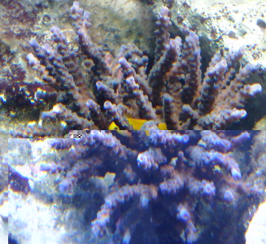 23022010901.jpg
