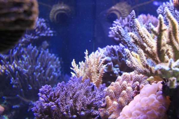 IMG_0692.JPG