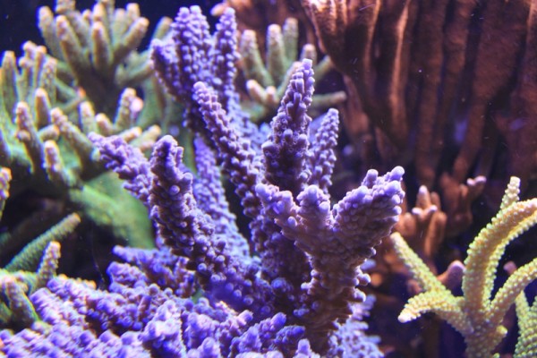 IMG_0740.JPG