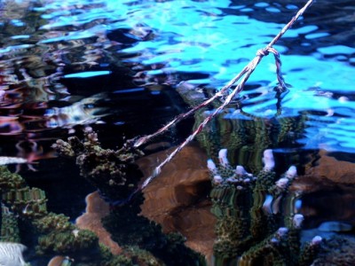 PICT0013.JPG