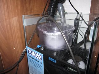 IMG_0291.jpg