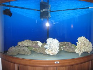 IMG_0293.jpg