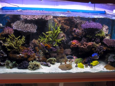 DSCN3925.JPG