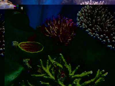 DSCN3926.JPG