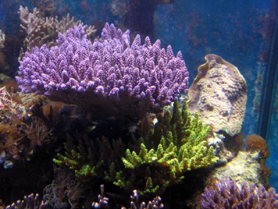 DSCN3927.JPG