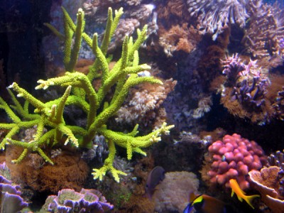 DSCN3928.JPG