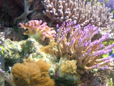 DSCN3930.JPG