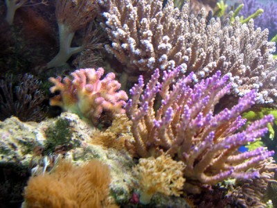 DSCN3931.JPG