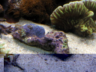 DSCN3938.JPG