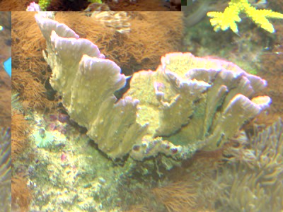 DSCN3940.JPG