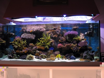 DSCN3952.JPG