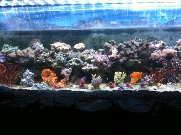 photo1.JPG