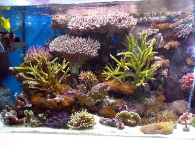 DSCN3955.JPG