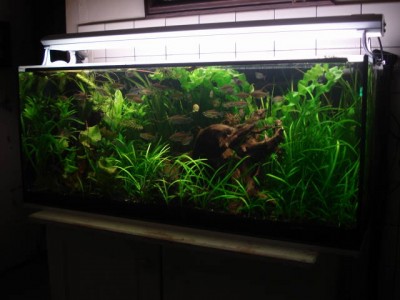 240 litres-3.jpg