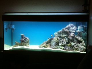 aquarium 2.jpg