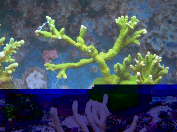 DSCN0786.JPG