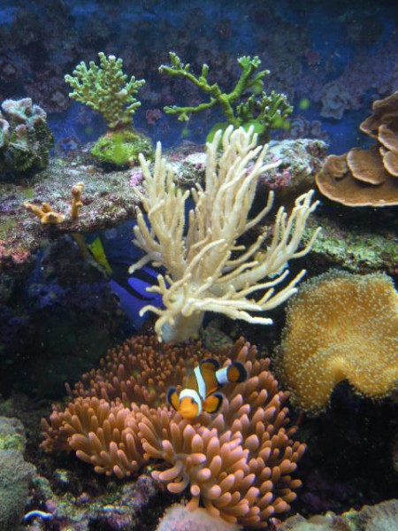 DSCN0787.JPG