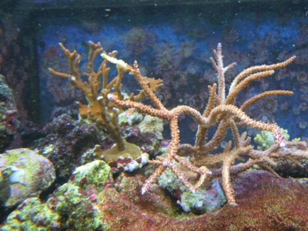 DSCN0788.JPG