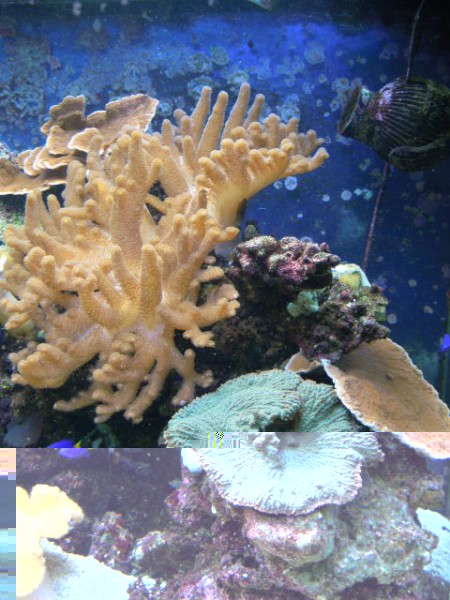 DSCN0790.JPG