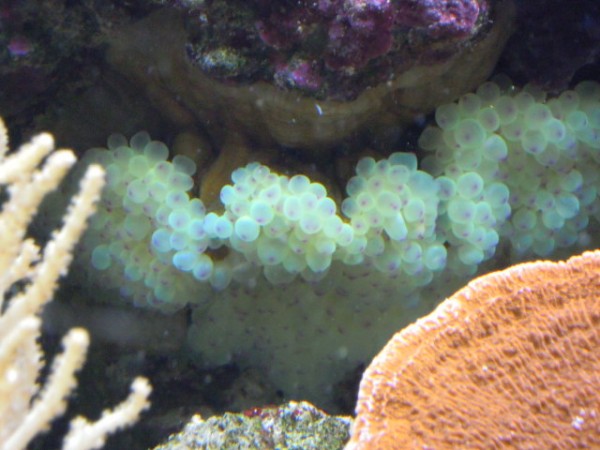 DSCN0796.JPG