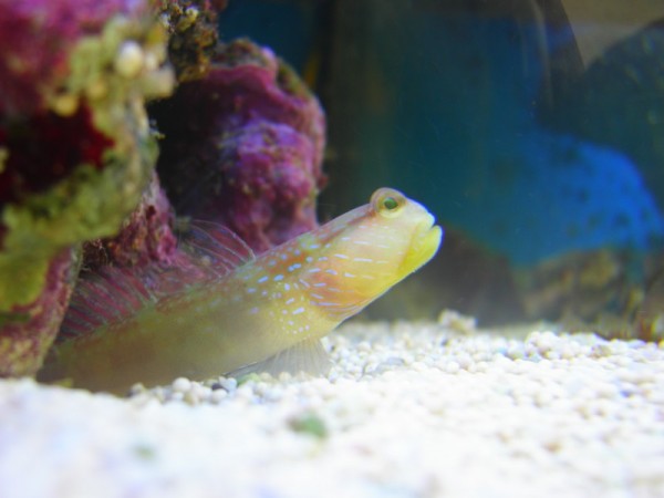 DSCN5109.JPG