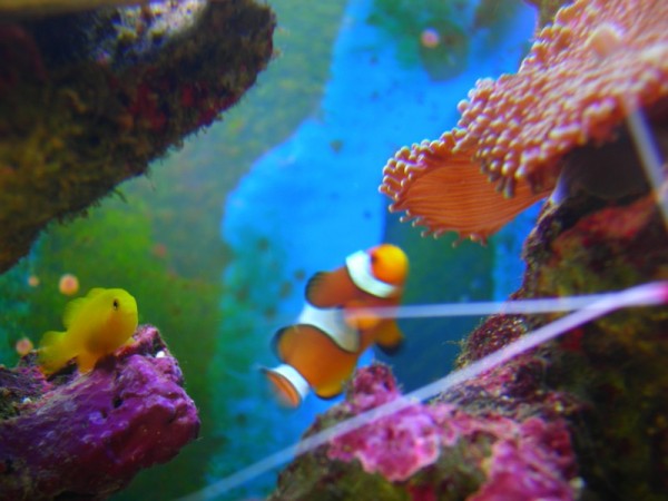 DSCN5111.JPG