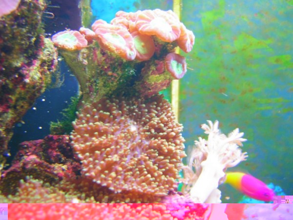 DSCN5139.JPG