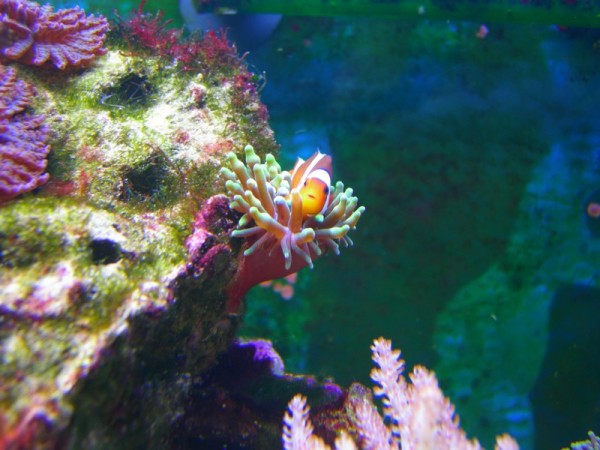 DSCN5142.JPG