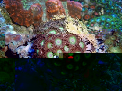 P1030254.JPG (166.03 Kio) Consulté 9949 fois Août 2009