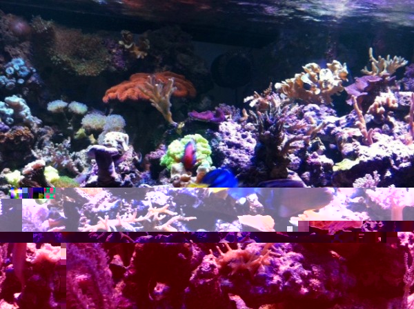 image.jpg (159.8 Kio) Consulté 75874 fois image.jpg