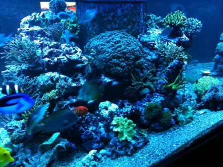 Photo iphone 3 055.jpg