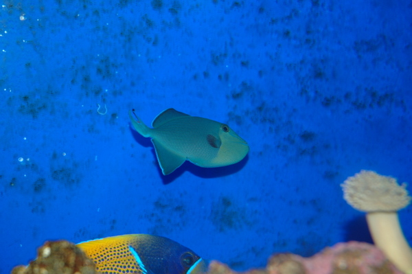 DSC_0310.JPG