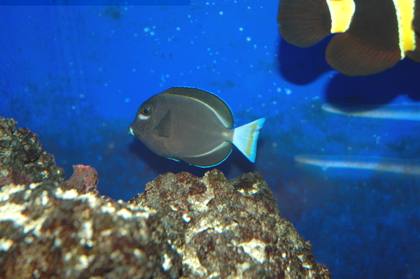 DSC_0315.JPG