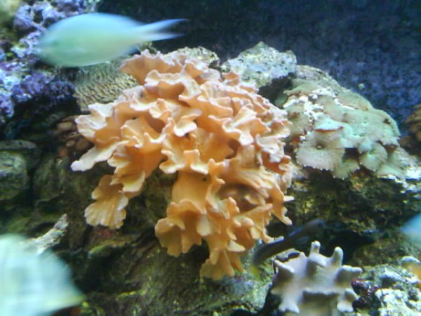 DSC01706.JPG