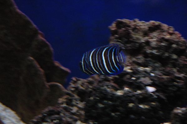 DSC_0346.JPG