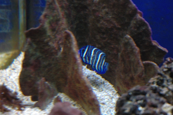 DSC_0351.JPG