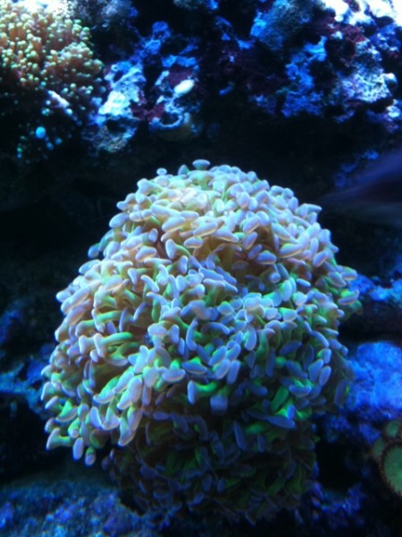 IMG_0393.jpg