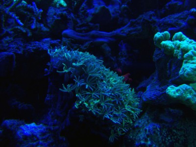 9.jpg (459.51 Kio) Consulté 11542 fois 9.jpg