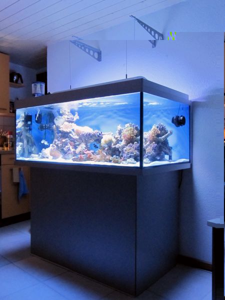aquarium.jpg